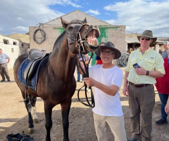 Horse back riding trails in Morocco